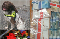 Revenue detector dog Josie helps find €90k in cash that could be connected to criminal activity