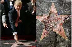Council wants to remove Trump's star from Walk of Fame