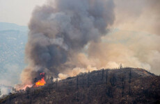 11 dead as California is scorched by raging wildfires the size of LA