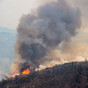 11 dead as California is scorched by raging wildfires the size of LA