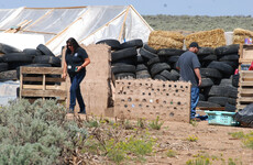 Father arrested at New Mexico camp was 'training children to commit school shootings'