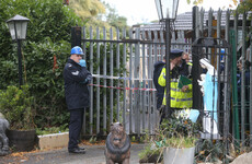 No criminal charges will be brought over the Carrickmines fire