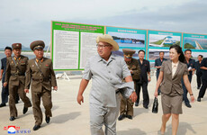 Red Cross warn that North Korea is on the brink of a 'full-blown' food crisis as crops fail in heatwave