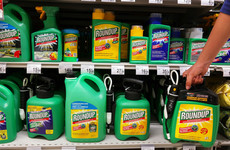 Company behind Roundup weedkiller ordered to pay €254 million to gardener living with cancer