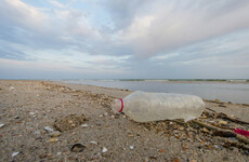 Poll: Should plastic bottles be banned from Irish beaches?