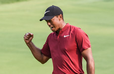 'I'm in uncharted territory': Tiger Woods savours his second-place finish