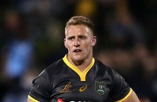 Beale backs Hodge to fill Wallabies' centre gap for All Blacks clash