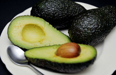 The European demand for avocados has African farmers planting overtime