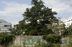 New section of the Berlin Wall discovered by accident