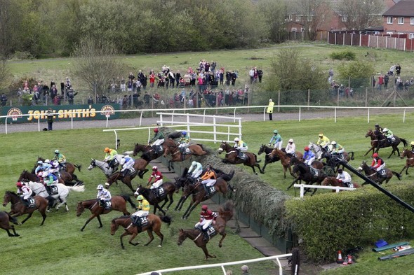 According to Pete, Aintree, Aintree Grand National 2012, Animal Rights acti...