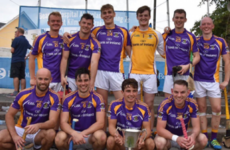 Anthony Daly's Kilmacud lift All-Ireland hurling sevens title on home soil