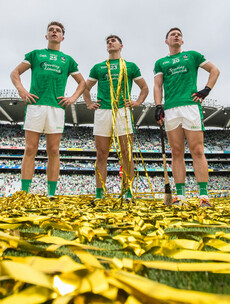14 great photos that capture the agony and ecstasy of Limerick's All-Ireland win