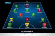 Here's The Sunday Game's Hurling Team of the Year for 2018