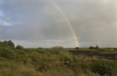 Bogland handed over to people of Abbeyleix