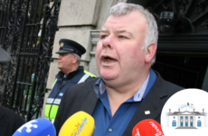 Michael Fitzmaurice urges fellow independent TDs to join together to nominate a presidential candidate