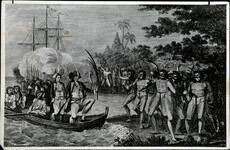 Potato stealing and pig theft: The stories of Irish convicts sent to Australia now available online