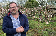 ‘If you went to the bank and said you wanted to start an orchard, they’d tell you to cop on’