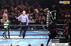 Boxer walks out of ring in first seconds of first round