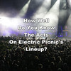 How Well Do You Know The Acts On Electric Picnic's Lineup?