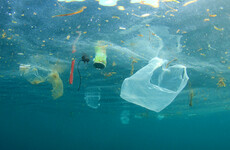 Researchers say plastic is 'indispensable' so they're trying to make it more sustainable