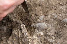 Archaeologists discover historic remains of two people during community dig in Waterford