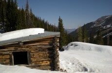 Explosives could be used to dislodge frozen cows from Rocky Mountains cabin