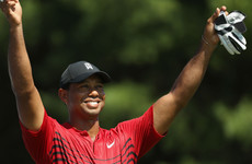 Ryder Cup pick 'beyond special', says Woods