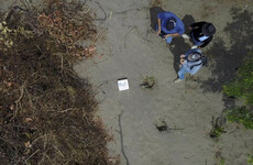 Mass grave site with 166 bodies found in Mexico