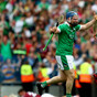 Limerick All-Ireland hurling winner suffers torn cruciate in club game