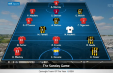 Do you agree with The Sunday Game's Camogie Team of the Year?