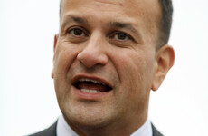 Substitutes for female politicians on maternity leave should be considered, says Taoiseach