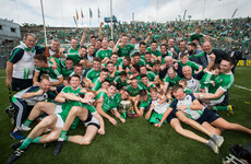 15 players from Limerick as 8 counties feature in 2018 All-Star hurling nominations