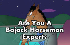 Are You A Bojack Horseman Expert?