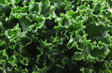 GIY: My father-in-law still dismisses kale as cattlefeed - but these days it’s rightly valued as a nutritional powerhouse
