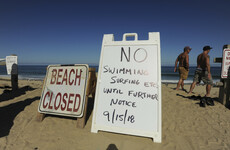 Man dies in shark attack off Cape Cod