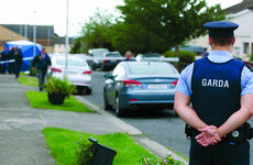 Garda resourcing under spotlight as pre teens allegedly used in Ballymun drug trade
