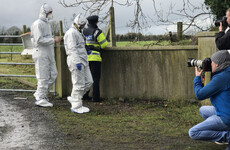 Teenage boy arrested in connection with murder of Italian national in Offaly