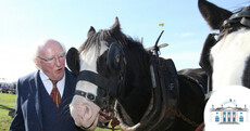 Do I need a brolly? How many Áras hopefuls will I meet? ... Everything you need to know about the Ploughing