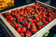 Australia offers large reward for information as sewing needles found in strawberries