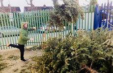 Dublin City Council to spend €360,000 on Christmas trees - that's about €600 per tree