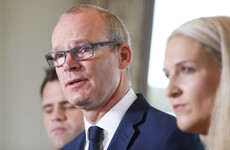 'Getting Ireland Brexit ready': Government to unveil plan as Coveney warns 'time is short'
