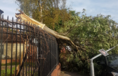 As it happened: Two killed and second day of National Ploughing Championships cancelled following Storm Ali