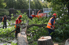 Traffic disruptions continue into the evening as a result of Storm Ali
