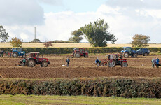 Extra day of National Ploughing Championships to take place following cancellation of today's events