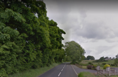 Man dies after being hit by falling tree in Northern Ireland