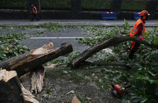 Poll: Did 'storm fatigue' affect people's preparedness for Storm Ali?