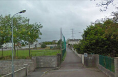 Gardaí appeal for witnesses after shots fired at man out walking dog in Cork