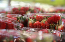 Australian strawberries taken off shelves in New Zealand after needles found
