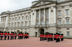 Man with taser arrested at Buckingham Palace made 'genuine error'