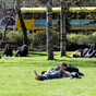 Temperatures to reach 20 degrees today
